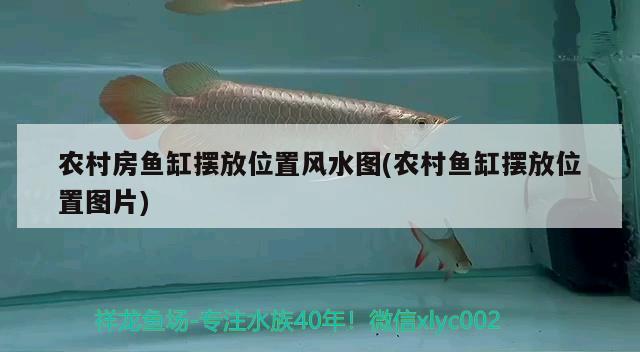 農(nóng)村房魚(yú)缸擺放位置風(fēng)水圖(農(nóng)村魚(yú)缸擺放位置圖片)