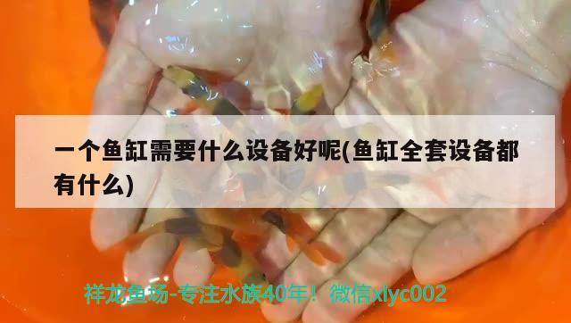 一個魚缸需要什么設備好呢(魚缸全套設備都有什么) 祥龍魚場