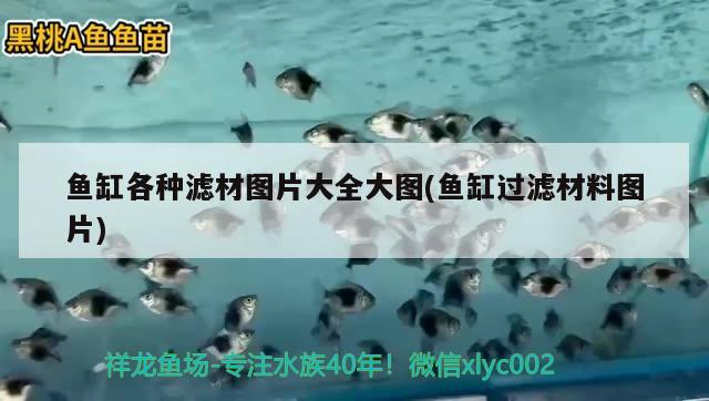 魚(yú)缸各種濾材圖片大全大圖(魚(yú)缸過(guò)濾材料圖片) 魚(yú)缸百科