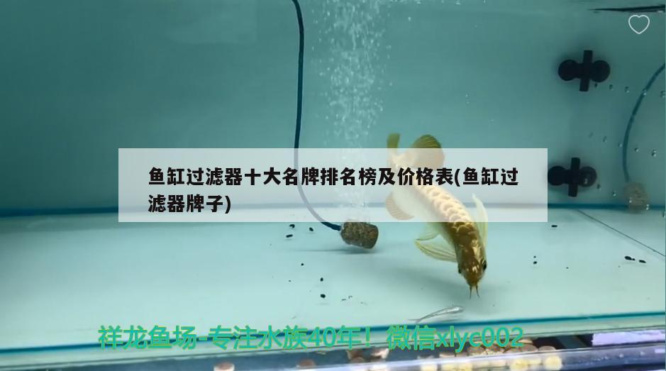 魚(yú)缸過(guò)濾器十大名牌排名榜及價(jià)格表(魚(yú)缸過(guò)濾器牌子)