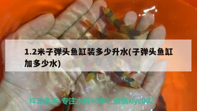 58同城二手魚缸回收（ 收二手魚缸的哪里有）