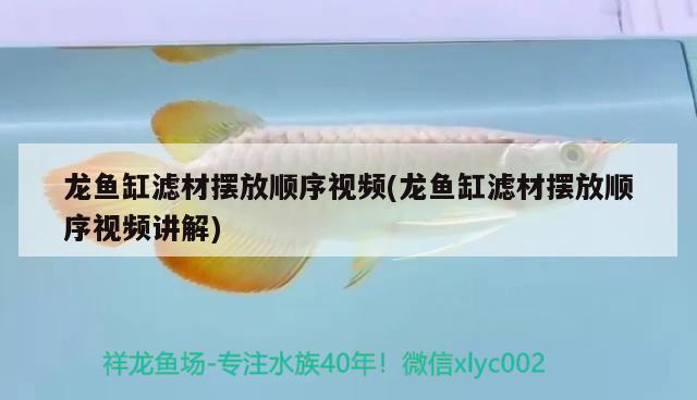 龍魚缸濾材擺放順序視頻(龍魚缸濾材擺放順序視頻講解) 黃金河虎魚 第3張