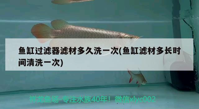 魚缸過濾器濾材多久洗一次(魚缸濾材多長時間清洗一次)