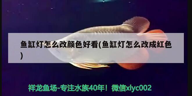 魚缸燈怎么改顏色好看(魚缸燈怎么改成紅色)