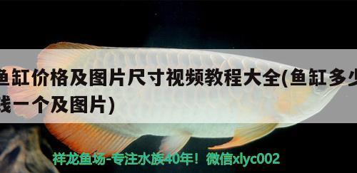 魚缸價(jià)格及圖片尺寸視頻教程大全(魚缸多少錢一個(gè)及圖片)