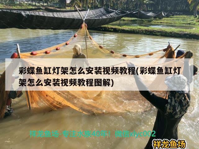 本溪二手魚缸多少錢能買到，旅游的時(shí)候你去過的最爽的地方是哪兒