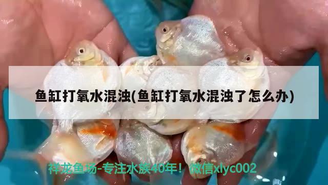 松寶魚缸配件價(jià)格：魚缸凈水過濾器價(jià)格多少 養(yǎng)魚的好處 第2張