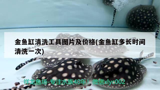 金魚缸清洗工具圖片及價格(金魚缸多長時間清洗一次) 銀龍魚苗