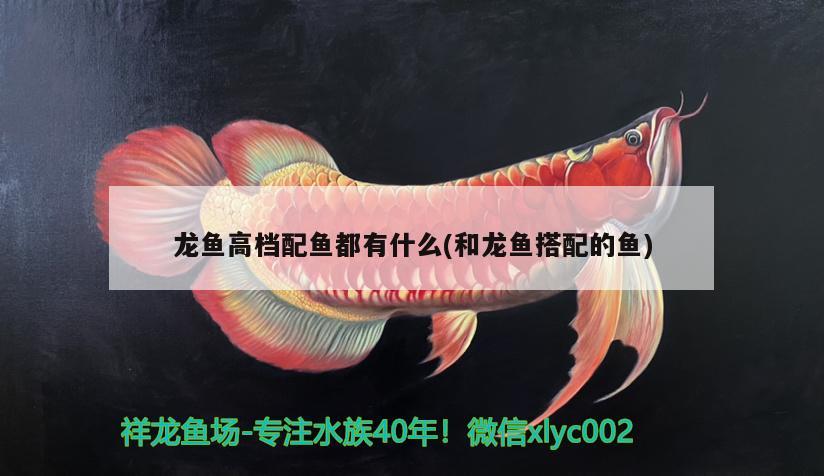 魚(yú)缸下水管配件：魚(yú)缸水管配件透明的總愛(ài)裂 廣州水族批發(fā)市場(chǎng) 第2張