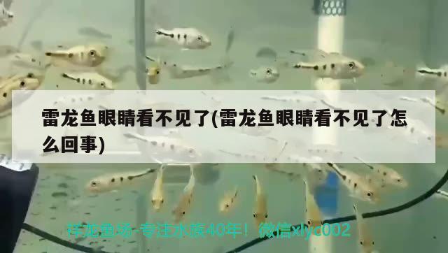 魚缸維修公司電話號(hào)碼多少號(hào)魚缸維修專家?guī)湍鉀Q問題，呼和浩特魚缸維修公司電話號(hào)碼多少號(hào)魚缸維修專家?guī)湍鉀Q問題