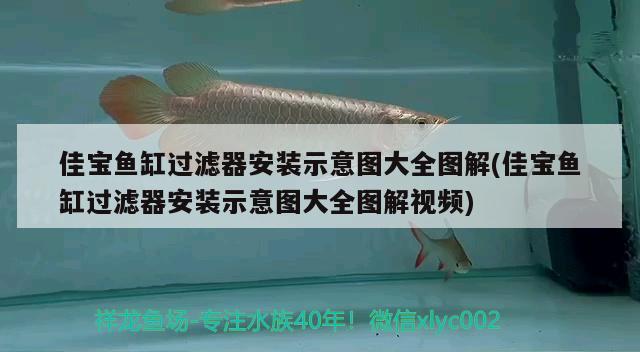 佳寶魚缸過濾器安裝示意圖大全圖解(佳寶魚缸過濾器安裝示意圖大全圖解視頻) 龍魚芯片掃碼器