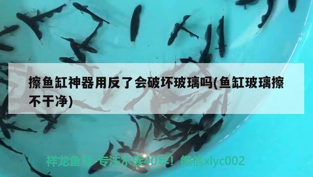 金龍魚集團(tuán)旗下品牌：金龍魚集團(tuán)旗下公司