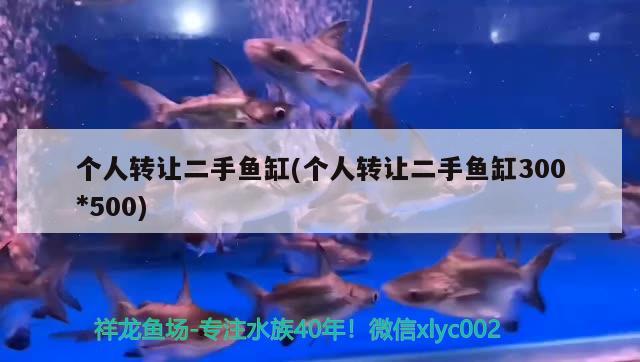 魚缸維護協(xié)議，魚缸維護記錄表 觀賞魚進出口 第2張