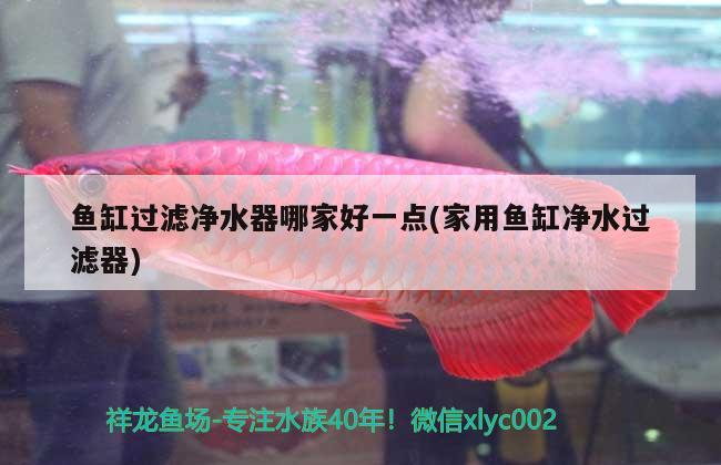 魚缸過濾凈水器哪家好一點(家用魚缸凈水過濾器) 觀賞魚批發(fā)