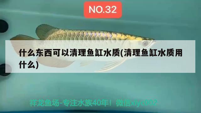 魚缸里的水放多長(zhǎng)時(shí)間可以放魚（魚缸里的水放多長(zhǎng)時(shí)間可以放魚了）