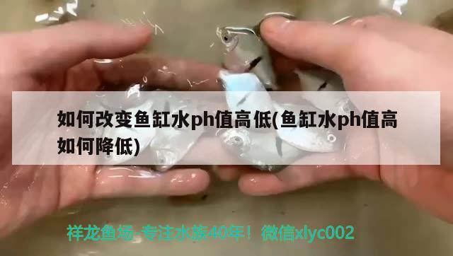 如何改變魚缸水ph值高低(魚缸水ph值高如何降低)