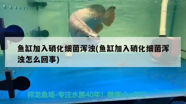 水族觀賞魚海水養(yǎng)殖水質(zhì)指標(biāo)有哪些，天津最大的海水魚珊瑚商鋪是哪