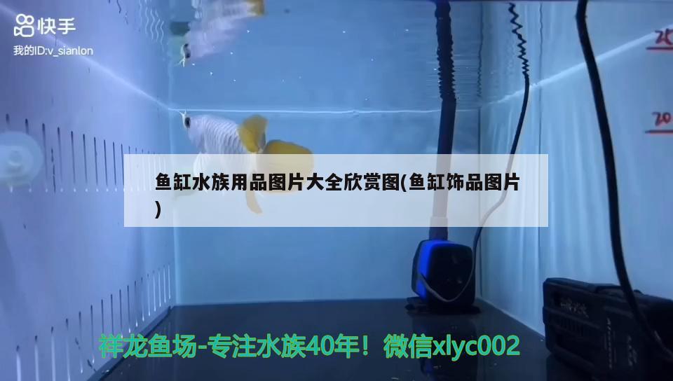 魚缸水族用品圖片大全欣賞圖(魚缸飾品圖片) 水族用品