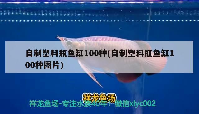 自制塑料瓶魚缸100種(自制塑料瓶魚缸100種圖片)