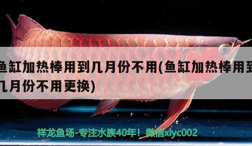 魚(yú)缸加熱棒用到幾月份不用(魚(yú)缸加熱棒用到幾月份不用更換)