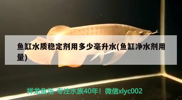 魚(yú)缸水質(zhì)穩(wěn)定劑用多少毫升水(魚(yú)缸凈水劑用量) 黃金達(dá)摩魚(yú)