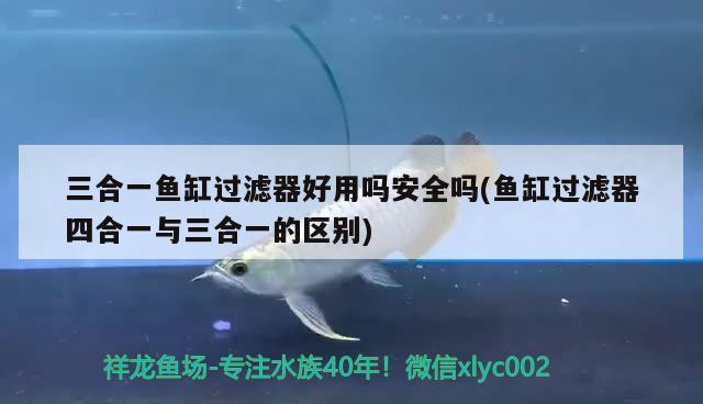 三合一魚缸過濾器好用嗎安全嗎(魚缸過濾器四合一與三合一的區(qū)別) 黑影道人魚 第2張