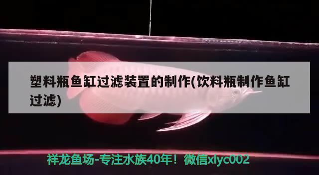 塑料瓶魚(yú)缸過(guò)濾裝置的制作(飲料瓶制作魚(yú)缸過(guò)濾) 溫控設(shè)備