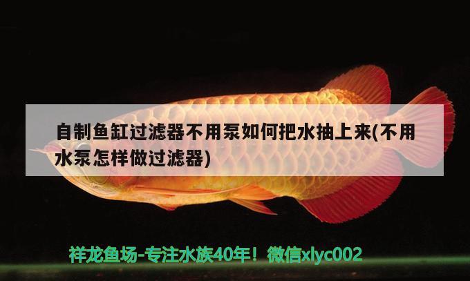 自制魚(yú)缸過(guò)濾器不用泵如何把水抽上來(lái)(不用水泵怎樣做過(guò)濾器)