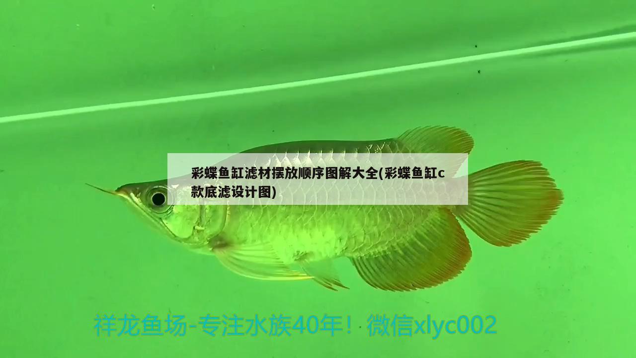 歷城區(qū)高祥觀賞魚經(jīng)營部