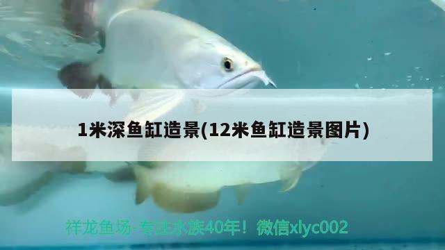 魚缸水泵嗡嗡響不抽水水位多少可以放水(魚缸抽水泵太響)