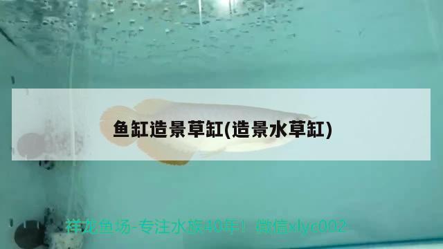 1.2米魚缸用多大流量的循環(huán)泵呢，12米魚缸用多大流量的循環(huán)泵呢 養(yǎng)魚知識 第2張