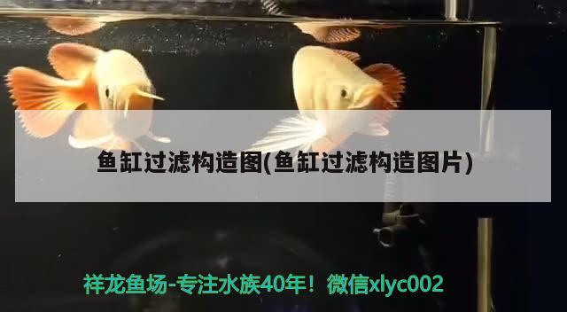 沈陽二手魚缸交易市場地址電話號 沈陽市二手魚缸交易市場地址 養(yǎng)魚的好處 第2張