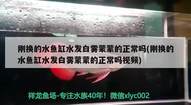 荊門魚缸市場在哪里?。呵G門漁具批發(fā)市場在哪里 廣州水族批發(fā)市場 第2張