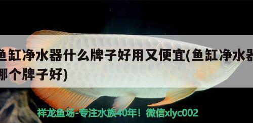 魚缸凈水器什么牌子好用又便宜(魚缸凈水器哪個牌子好)