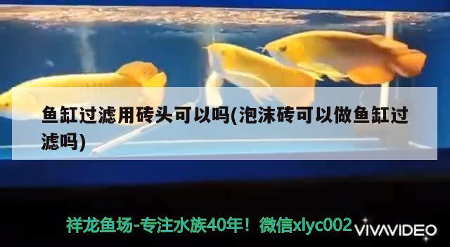 魚缸過濾用磚頭可以嗎(泡沫磚可以做魚缸過濾嗎) 觀賞魚水族批發(fā)市場(chǎng)