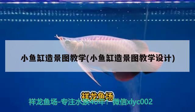 小魚(yú)缸造景圖教學(xué)(小魚(yú)缸造景圖教學(xué)設(shè)計(jì)) 委內(nèi)瑞拉奧里諾三間魚(yú)苗