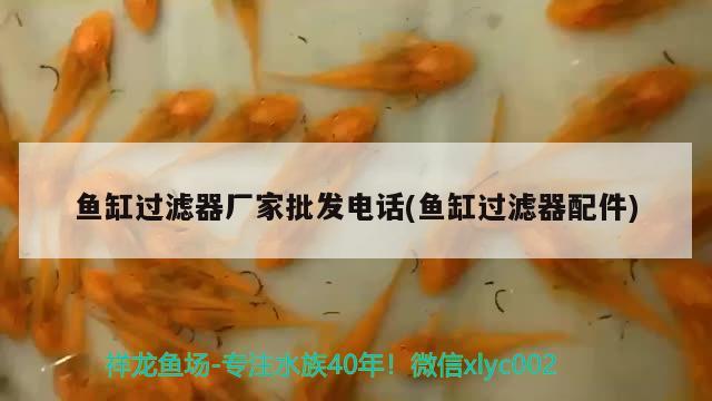 魚缸過濾器廠家批發(fā)電話(魚缸過濾器配件) BD魟魚