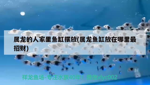 屬龍的人家里魚缸擺放(屬龍魚缸放在哪里最招財)