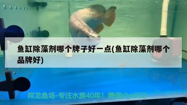 湘潭九龍魚頭店電話號(hào)碼查詢（湘潭九龍魚頭店電話號(hào)碼查詢地址）