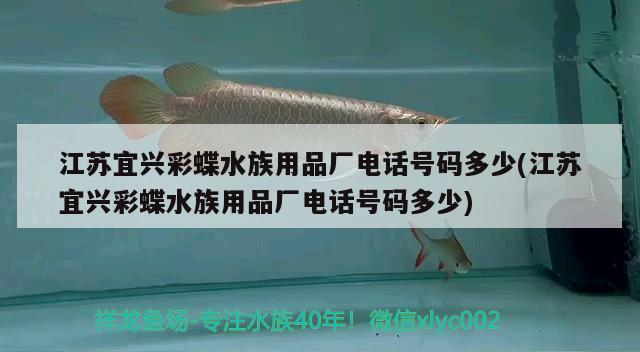 江蘇宜興彩蝶水族用品廠電話號(hào)碼多少(江蘇宜興彩蝶水族用品廠電話號(hào)碼多少) 水族用品