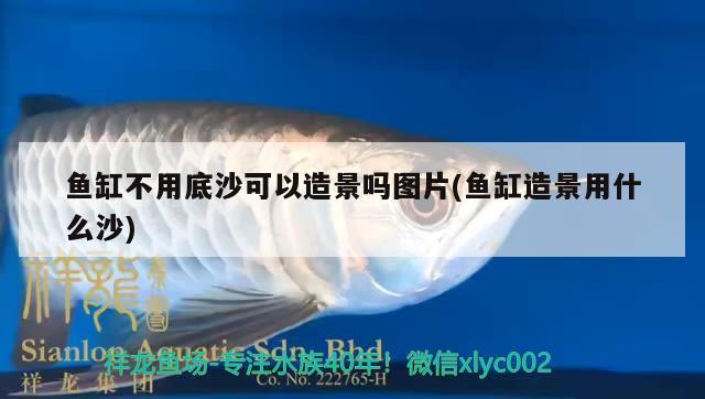 魚缸不用底沙可以造景嗎圖片(魚缸造景用什么沙) 魚缸/水族箱