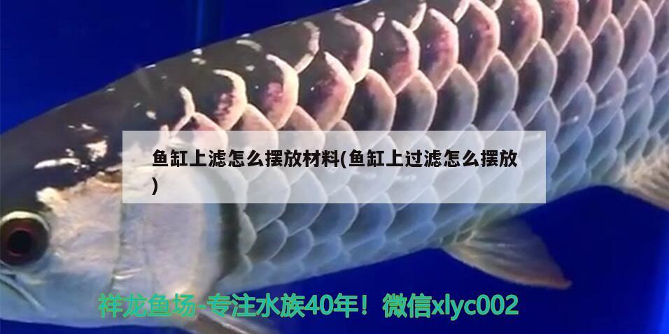 魚缸上濾怎么擺放材料(魚缸上過濾怎么擺放) 水族用品