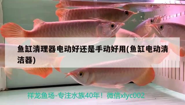 魚缸清理器電動好還是手動好用(魚缸電動清潔器) 水族燈（魚缸燈）