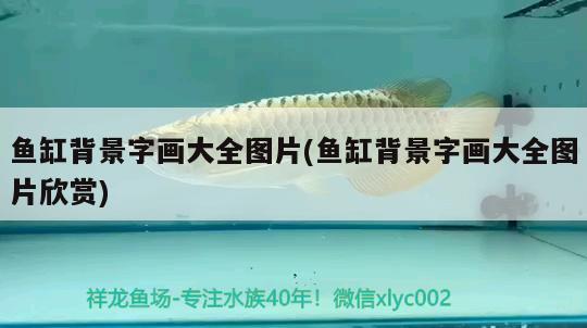 魚(yú)缸背景字畫(huà)大全圖片(魚(yú)缸背景字畫(huà)大全圖片欣賞) 電鰻