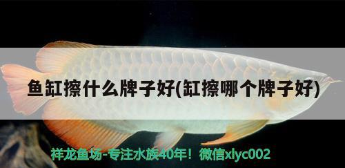 魚缸擦什么牌子好(缸擦哪個牌子好)