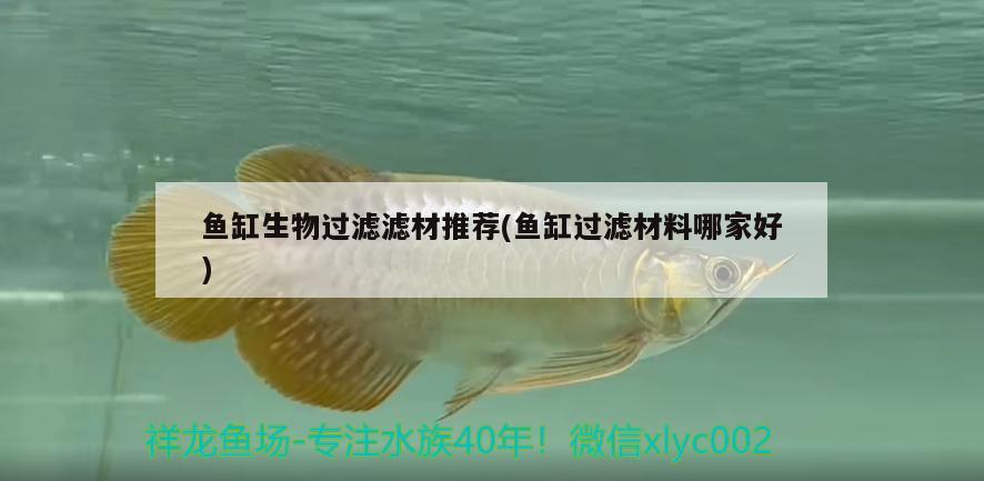 風(fēng)水魚缸高度多少合適呢：風(fēng)水家里魚缸的高度 魚缸風(fēng)水 第2張