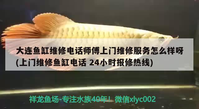 大連魚缸維修電話師傅上門維修服務怎么樣呀(上門維修魚缸電話24小時報修熱線) 藍帆三間魚