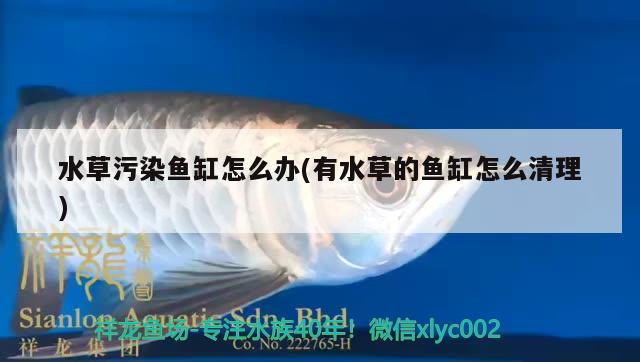 合肥魚缸清洗公司哪家好點呢（合肥魚缸清洗公司哪家好點呢多少錢）