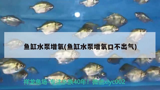 魚(yú)缸水泵增氧(魚(yú)缸水泵增氧口不出氣)