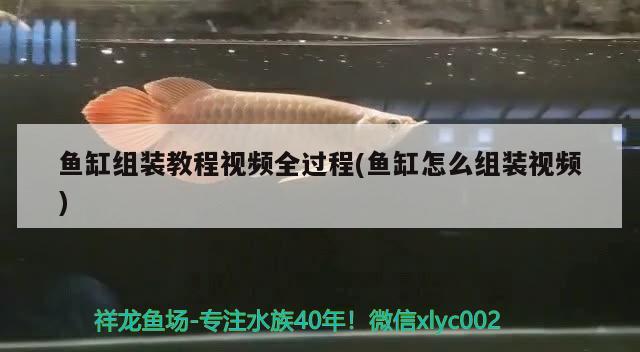 魚缸組裝教程視頻全過程(魚缸怎么組裝視頻)